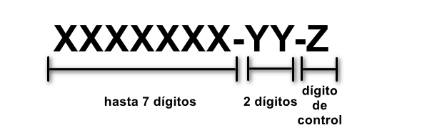 Como está compuesto el número CAS