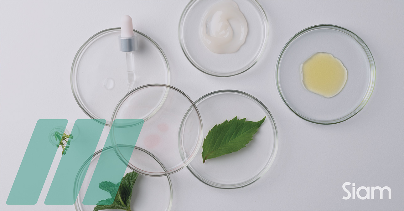 EU-updates-cosmetics-legislation